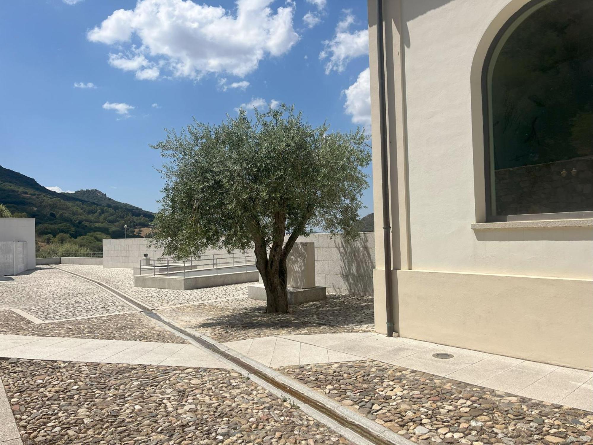 Casa Ziranu Sa Domo E Su Cantaru Orani Bagian luar foto