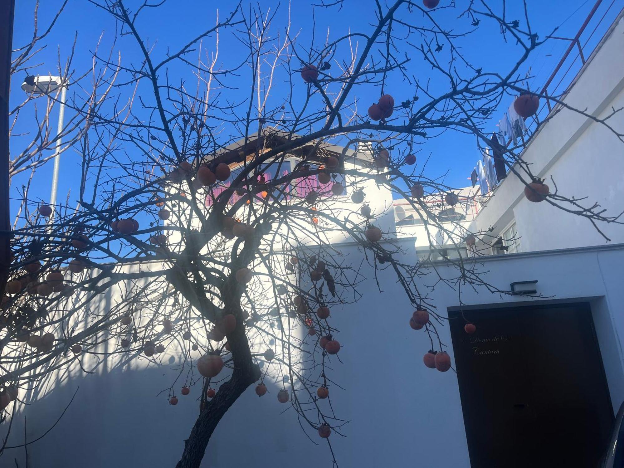 Casa Ziranu Sa Domo E Su Cantaru Orani Bagian luar foto